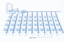 Sơ đồ hệ thống tưới nhỏ giọt
